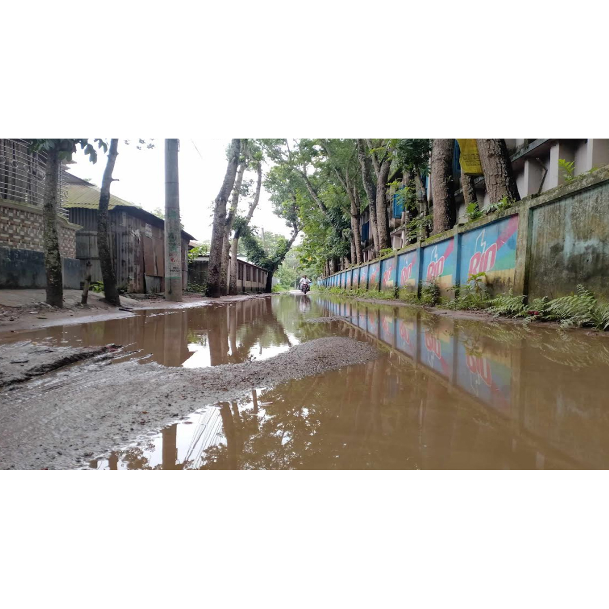 জামালপুর সরিষাবাড়ী পৌরসভার সংবাদ