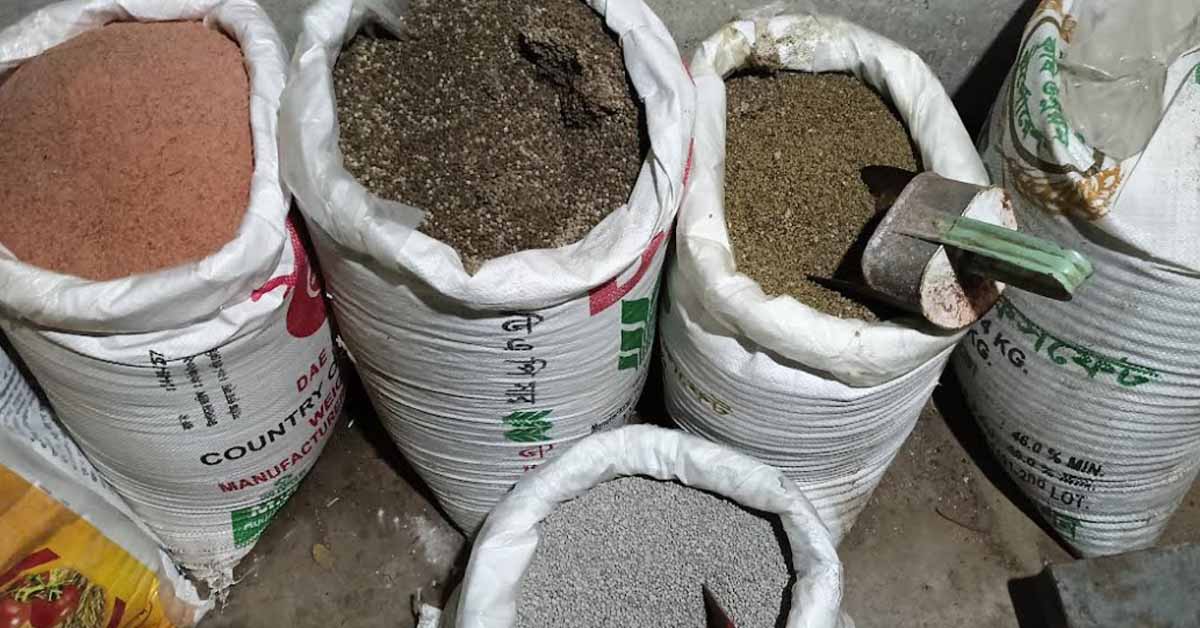 খুলনার দিঘলিয়ায় কৃষকের নিকট থেকে সারের বেশি মূল্য নেওয়ায় দিশেহারা কৃষক।