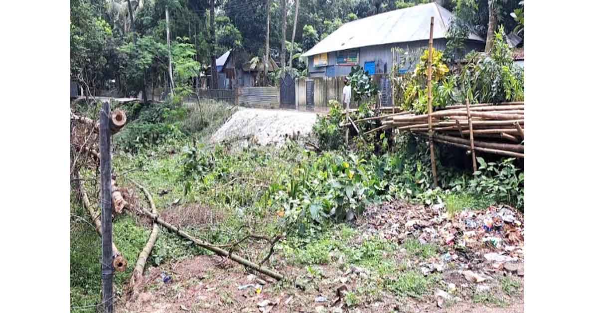 রাজবাড়ীতে ব্যক্তিগত জমিসহ সরকারি হালট দখলের অভিযোগ
