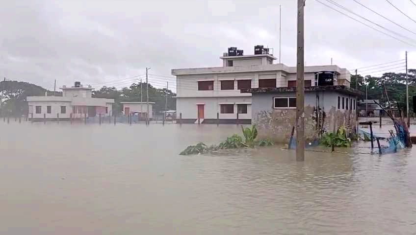টানা বর্ষণে বেড়িবাঁধ ভেঙে গলাচিপার নিম্নাঞ্চল প্লাবিত, ব্যাপক ক্ষয়ক্ষতি