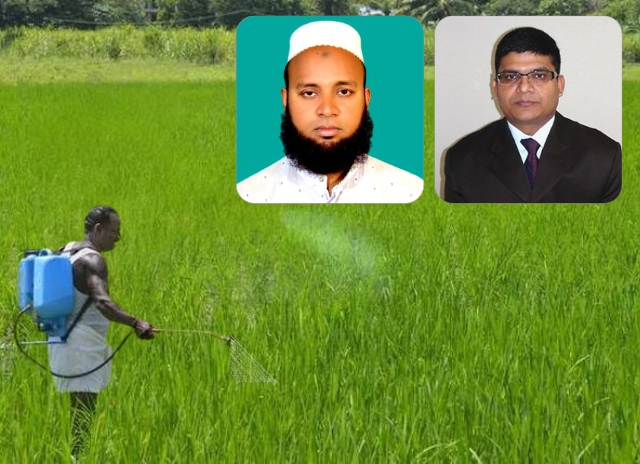 কৃষিতে অতিরিক্ত বালাইনাশকের বিষ ছড়াচ্ছে পরিবেশ ও খাদ্যচক্রে, গবেষকদের পরামর্শ