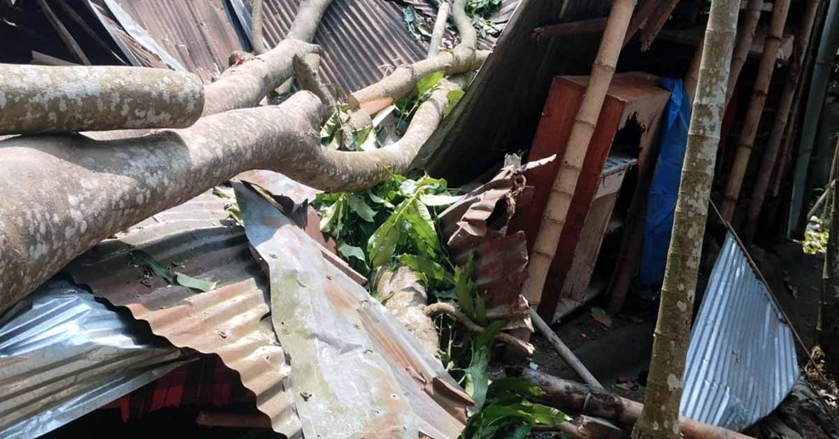 কাল বৈশাখী ঝড়ে লন্ডভন্ড উত্তরের জনপদ, ক্ষতিগ্রস্ত পরিবারের পাশে জামায়াতে ইসলামীর সহকারী সেক্রেটারি মাওলানা আব্দুল হালীম