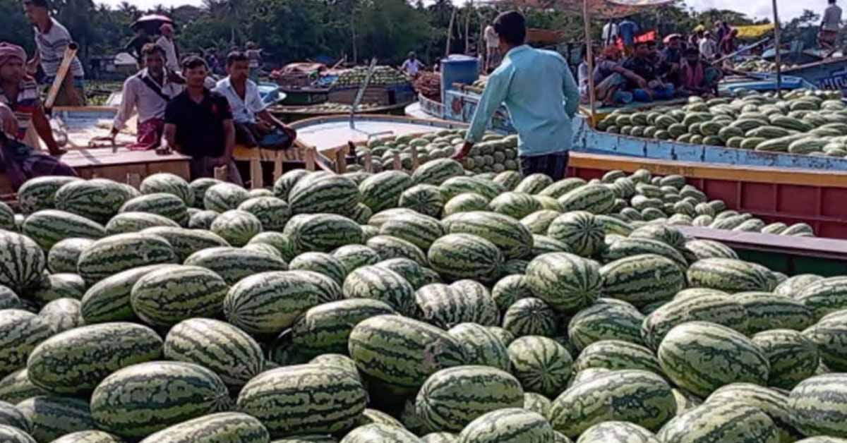 ভাসমান বাজারে বিক্রি হচ্ছে কোটি  টাকার তরমুজ
