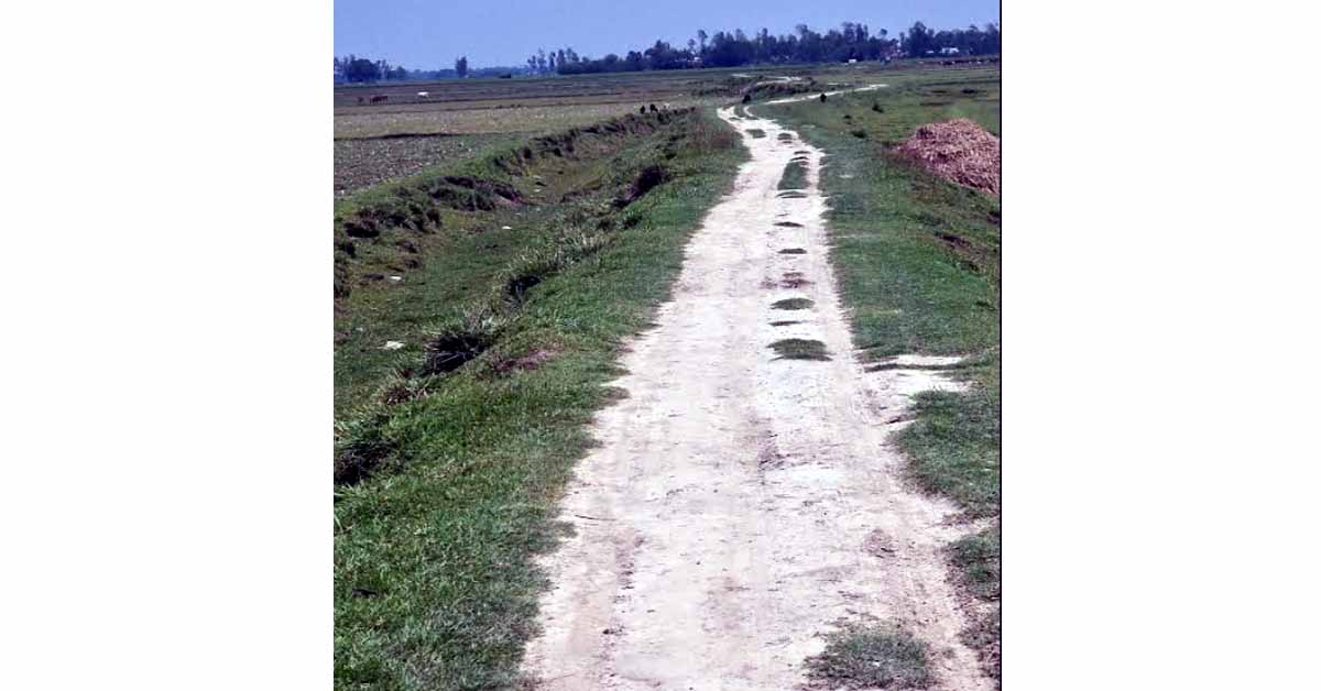 আগাপুর হরিনাকোনার কাঁচা রাস্তা বেহাল দশা চলাচলের জনভোগান্তি ২ গ্রামের মানুষ