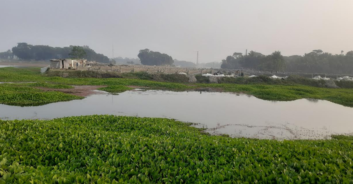 এক ইউনিয়নেই ২৩ ইটভাটা