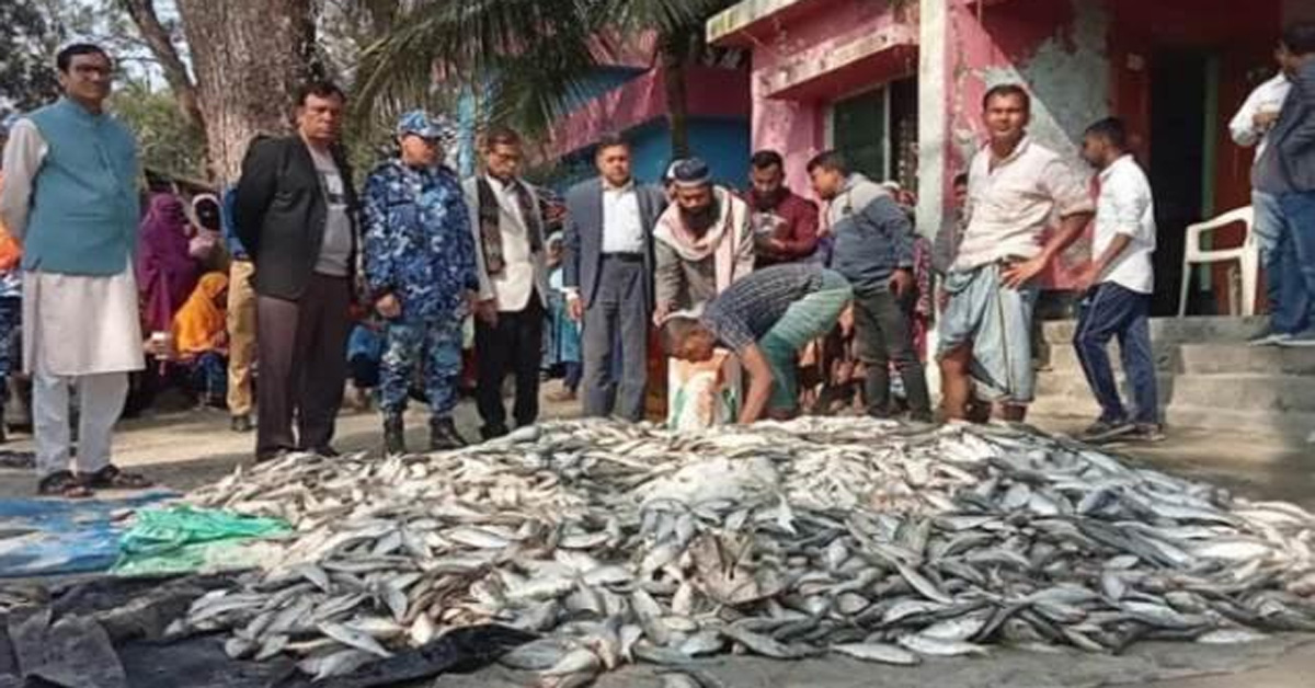 রায়পুরে মৎস্য বিভাগের অভিযানে ৩ টন জাটকা উদ্ধার