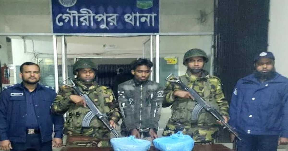 গৌরীপুরে যৌথবাহিনীর অভিযানে গাঁজা মাদক কারবারি  আটক