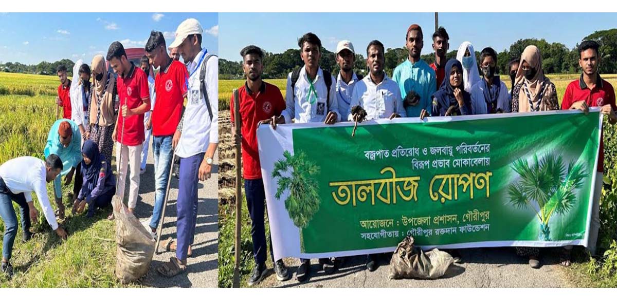 গৌরীপুরে ইউএনও রোপন করলেন ২২ কি.মি সড়কে তালবীজ