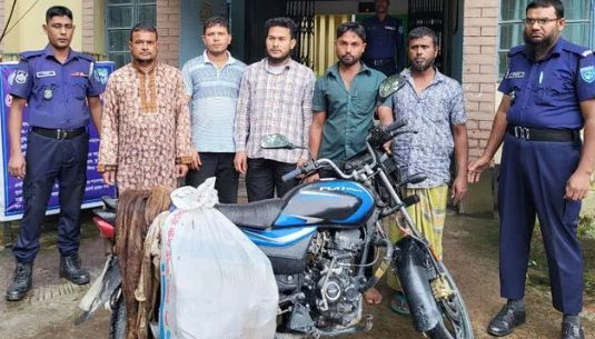 অসুস্থ গরু জবাই করে বিক্রির চেষ্টা, পশু চিকিৎসকসহ ৩ জনের কারাদণ্ড