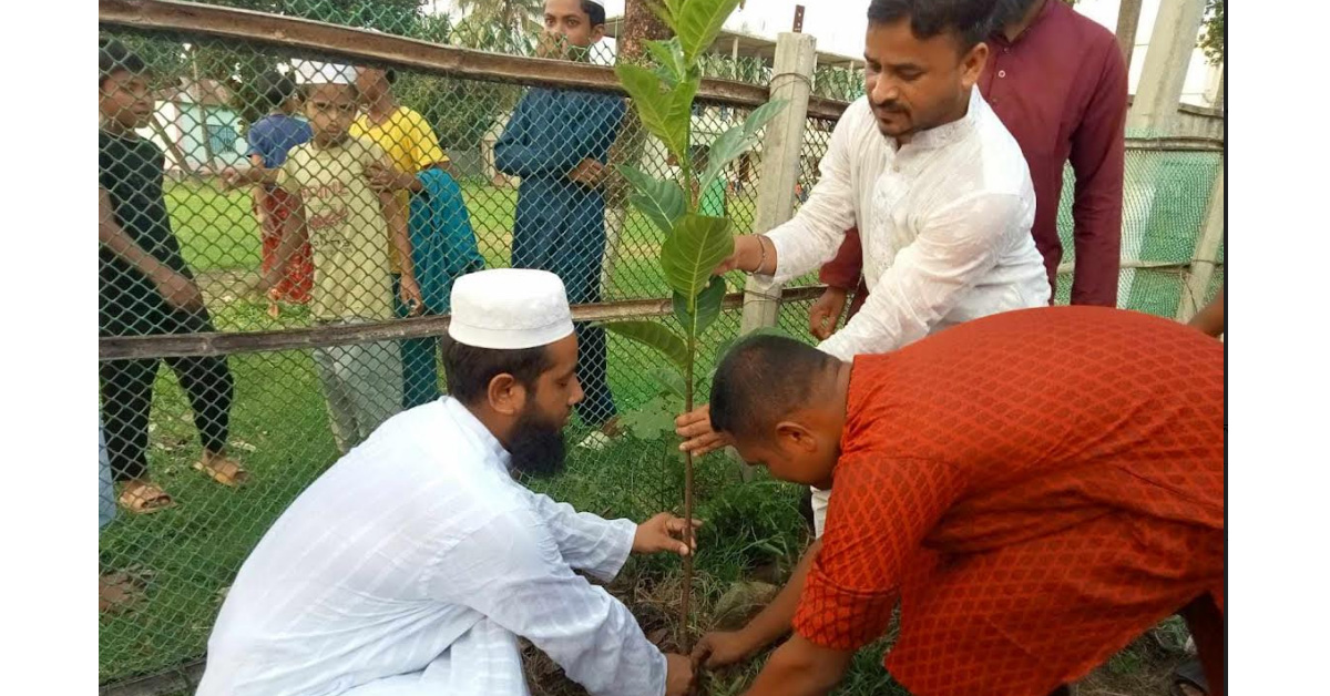 নকলায় বিশ্ব পরিবেশ দিবসে মানবিক সহায়তা যুব সংস্থার বৃক্ষরোপণ